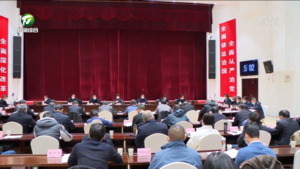 凌云主持召开全市重大项目工作专题会 坚持项目为王投资为上招商为要 持续打响有效投资攻坚战