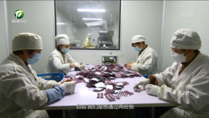 徽州区：药企开足马力 保障药物供应