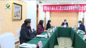 市八届人大二次会议议案审查委员会举行第一次会议