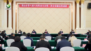 凌云参加歙县代表团审议时指出 拉高标杆拓宽思路强化措施改进作风 推动各项工作走在前当先锋作示范
