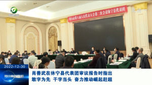 肖善武在休宁县代表团审议报告时指出 敢字为先 干字当头 奋力推动崛起赶超