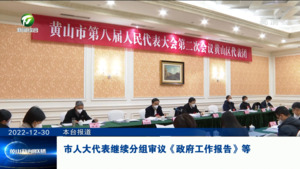 人大代表继续分组审议《政府工作报告》等
