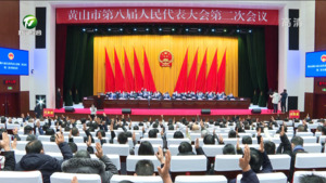 市八届人大二次会议举行第二次全体会议