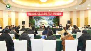 凌云在参加市政协委员分组讨论时强调 全力以赴拼经济 加快建设“大黄山”