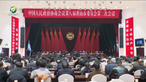 市政协八届二次会议举行第三次全体会议字幕
