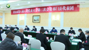 罗建华参加人大代表审议和政协委员分组讨论