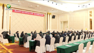 市人大代表分组审议三个报告等