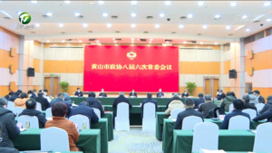 市政协召开八届六次常委会议
