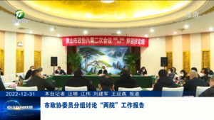 市政协委员分组讨论“两院”工作报告