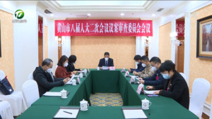 市八届人大二次会议议案审查委员会举行第二次会议