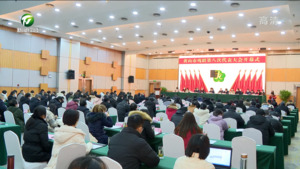奋力开创我市残疾人事业高质量发展新局面 市残疾人联合会第八次代表大会召开 凌云杨宏星出席开幕式并讲话 孙勇等出席