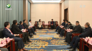 共创“大黄山”文旅产业美好未来  凌云与冯微微等举行工作会谈
