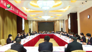 张西明 沈强参加黄山团审议省政府工作报告