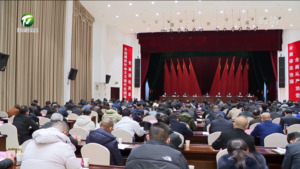 凌云在市委常委会扩大会议上强调 全力学起来拼起来跑起来 确保省委省政府决策部署在黄山落地见效
