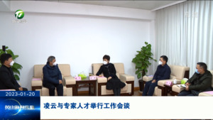 凌云与专家人才举行工作会谈