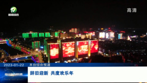 辞旧迎新  共度欢乐年