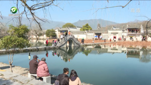 黟县：乡村游火热 民宿一房难求