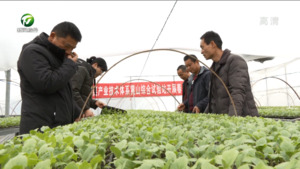 人勤春来早 新春备耕忙