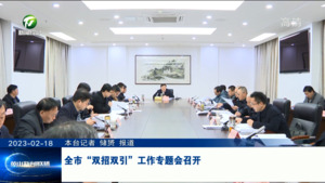 全市“双招双引”工作专题会召开