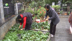 王旭家庭：勇于担当忠职守 薪火相传尚文明
