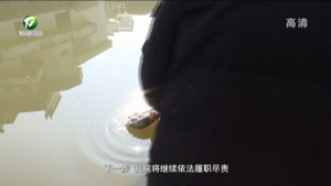 捕鱼变“补”鱼  增殖放流护生态