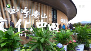 展示“创意黄山 美在徽州”魅力  打响“吾心安处是黄山”新品牌