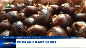 朱郑荸荠品质好 呼唤助农力量帮销售