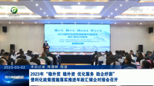 2023年“稳外贸 稳外资 优化服务 助企纾困”便利化政策措施落实推进年政汇银企对接会召开