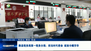 黟县税务局第一税务分局：担当时代使命 绽放巾帼芳华
