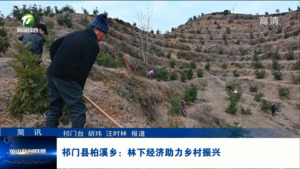 简讯：祁门县柏溪乡：林下经济助力乡村振兴