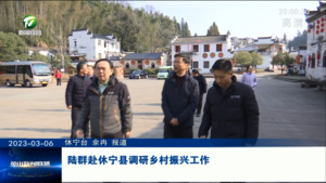 陆群赴休宁县调研乡村振兴工作