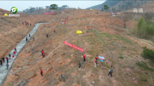 为大美黄山再添新绿 市四套班子领导参加义务植树活动