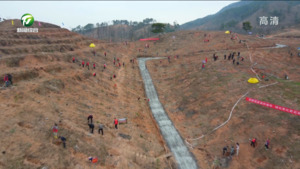 歙县：深入开展全民义务植树活动 勾勒高颜值青绿新安