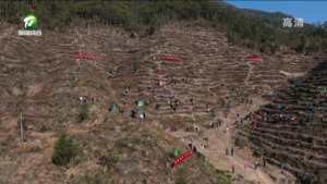 为大美黄山增添新绿 我市各地开展全民义务植树活动