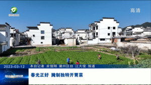 春光正好 腌制独特开胃菜