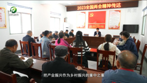 代表返回岗位 传达两会精神到基层