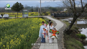 黟县：春风徐徐 纸鸢翻飞