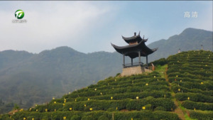 共品黄山茶 我市以“非遗”致敬“世遗”