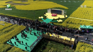 中国黄山油菜花摄影旅游季盛大启动