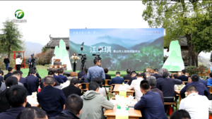 2023第十五届黄山毛峰茶文化节开幕