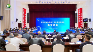 政企一心 共拼经济 市委市政府召开绿色食品产业企业家座谈会·新安茶会 凌云出席会议并讲话