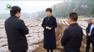 凌云赴歙县调研时强调 立足资源优势 厚植产业根基 奋力绘就乡村振兴美好图景