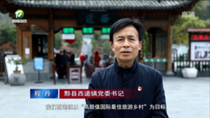 程丹：“五微”点靓世界最佳旅游乡村