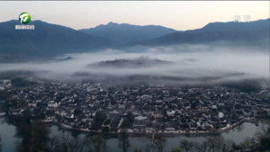 黟县：“赏花游”带动文旅经济持续升温