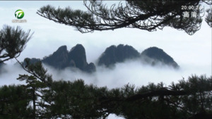 清明假期：黄山风景区云海壮观 旅游秩序井然