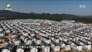 王泽：“五微行动”绘就月潭山水新画卷