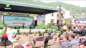 讲好徽茶故事 做大徽茶产业 中国名茶之都·黄山2023第十七届太平猴魁茶文化旅游节开幕