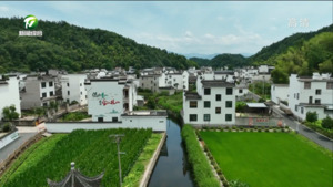 张轶：“五微”行动打造乡村建设新典范