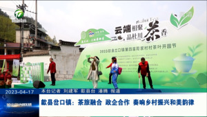歙县岔口镇：茶旅融合 政企合作 奏响乡村振兴和美韵律