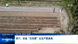 祁门：农业“大托管”让生产更高效